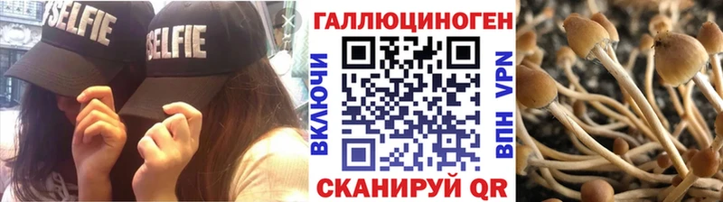 Галлюциногенные грибы Cubensis  закладки  hydra как зайти  Ревда 
